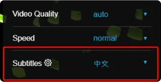 subtitles chinese